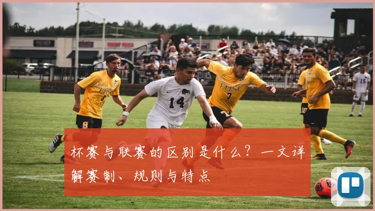 杯赛与联赛的区别是什么?一文详解赛制、规则与特点